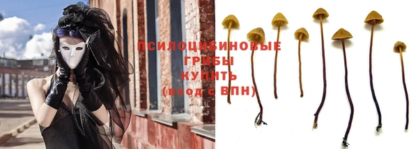 ECSTASY Беломорск