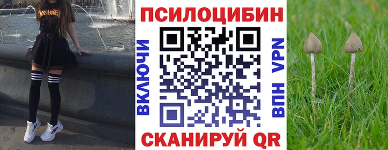Псилоцибиновые грибы GOLDEN TEACHER  Маркс 